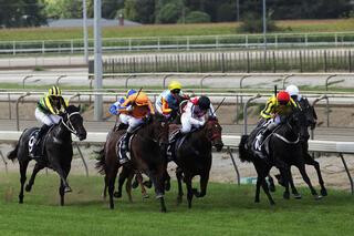 Gold Rush has gutsy victory in the Group 2 J Swap Contractors Matamata Breeders’ Stakes. Photo Credit: Trish Dunell.